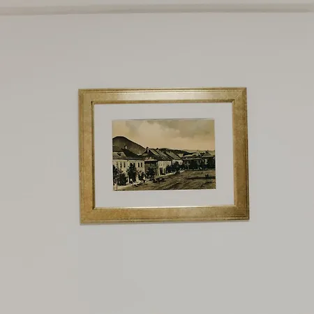 Pensiunea Pictorilor Baia Mare Exterior photo