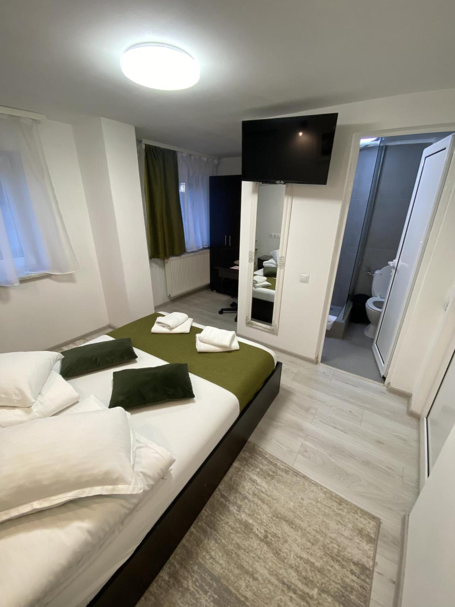 Pensiunea Pictorilor 3* Baia Mare