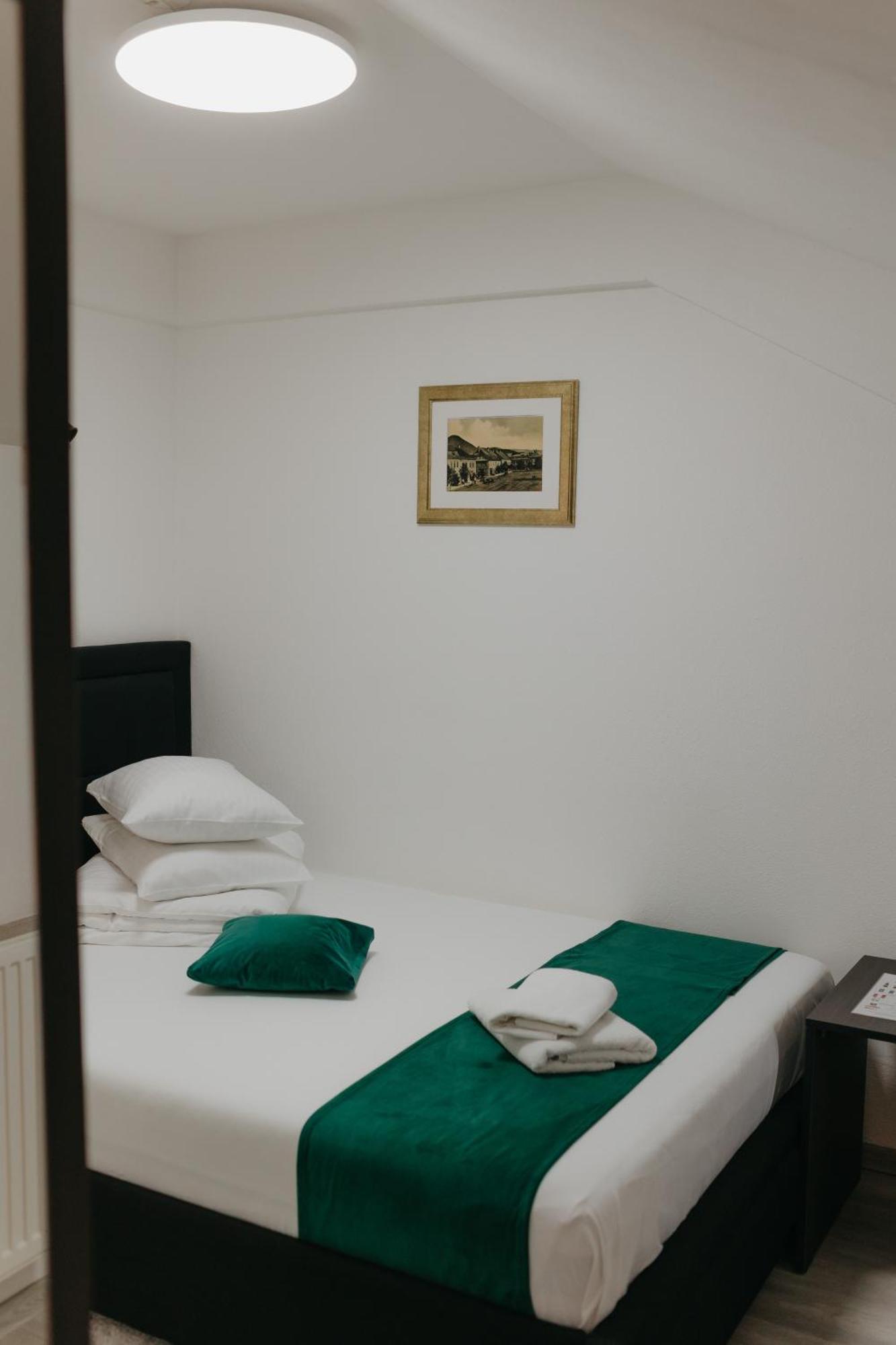 Bed & Breakfast Pensiunea Pictorilor