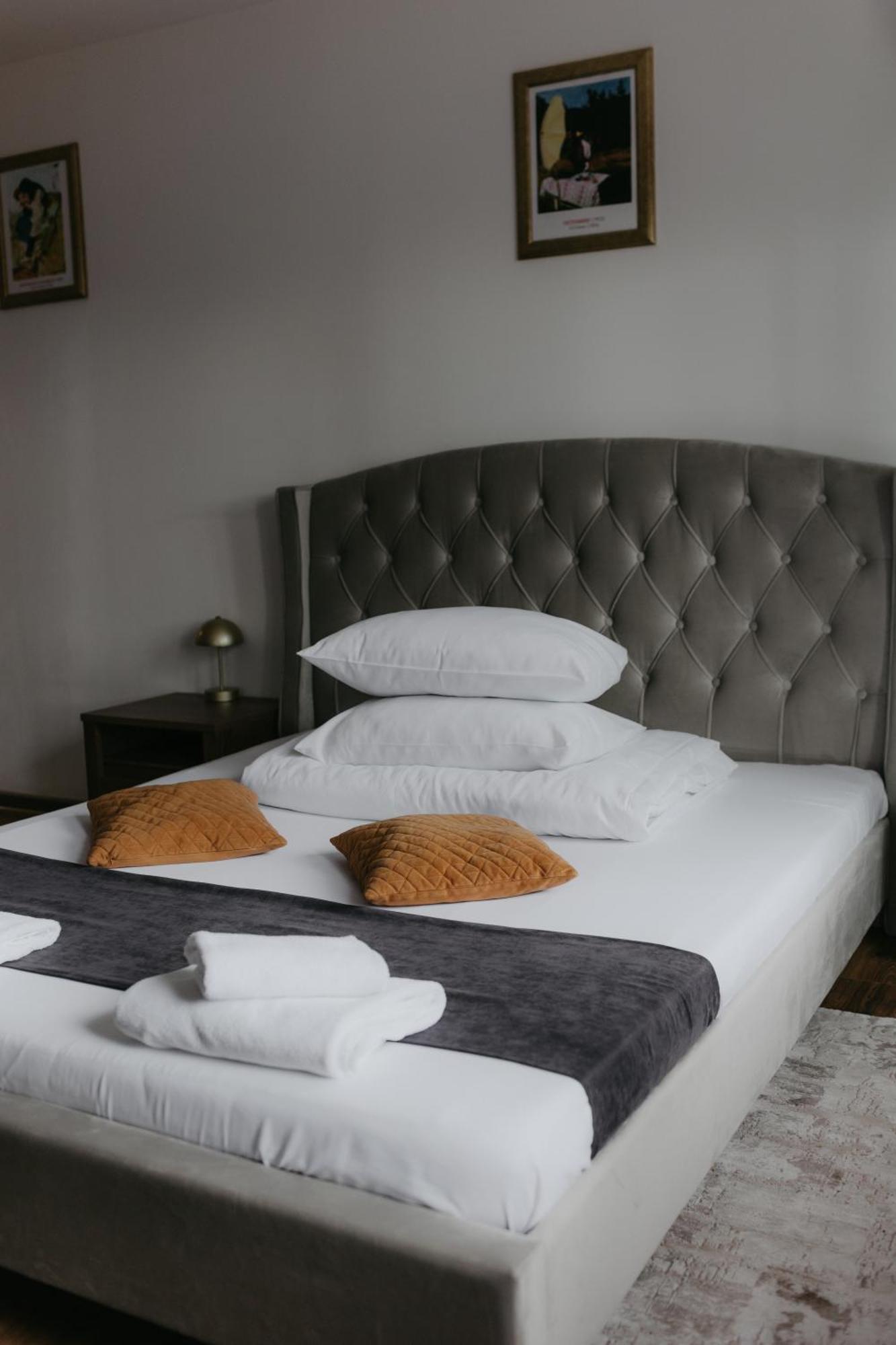 Bed & Breakfast Pensiunea Pictorilor 3*