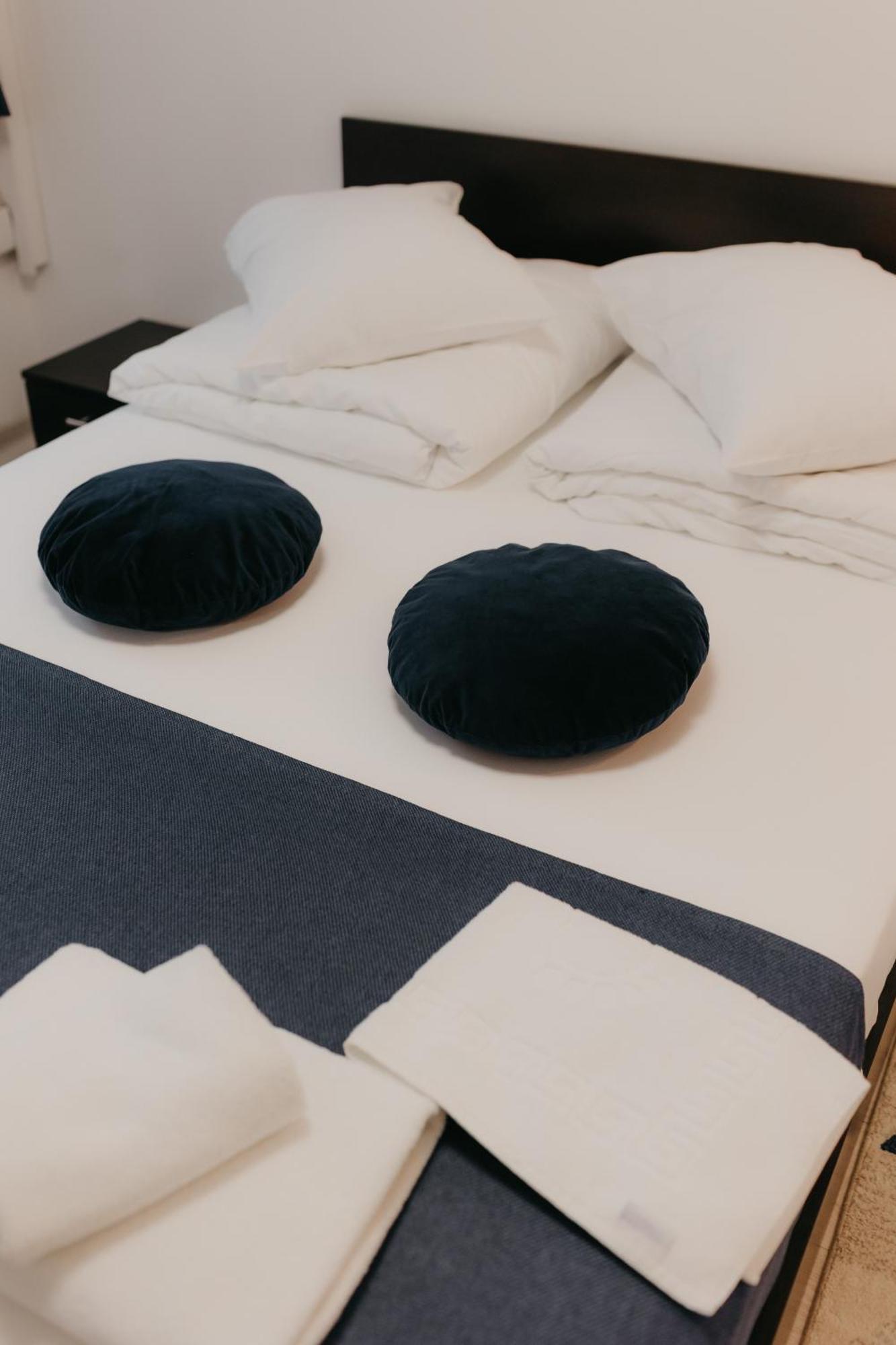 Bed & Breakfast Pensiunea Pictorilor Baia Mare