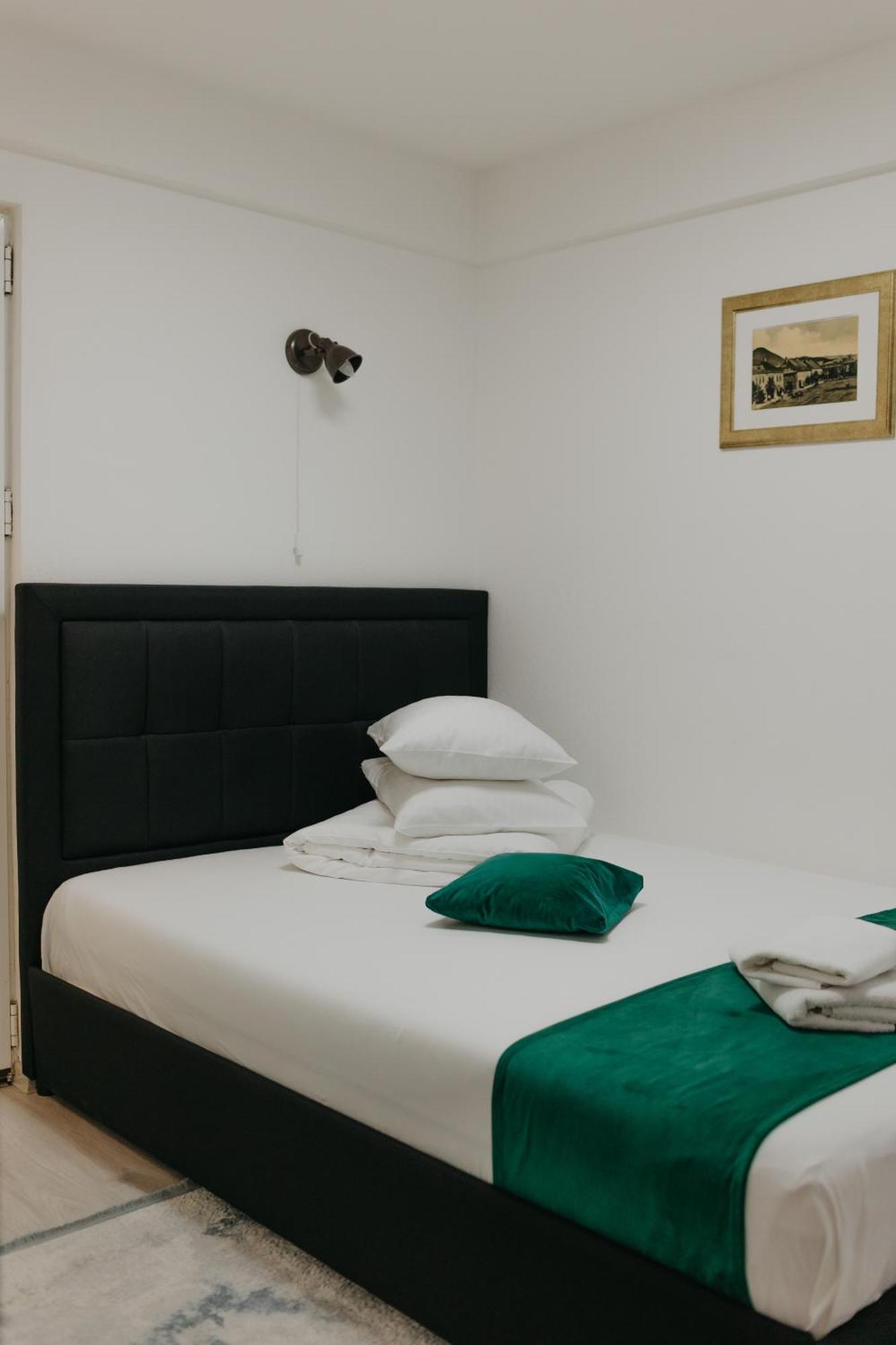 Pensiunea Pictorilor 3* Baia Mare